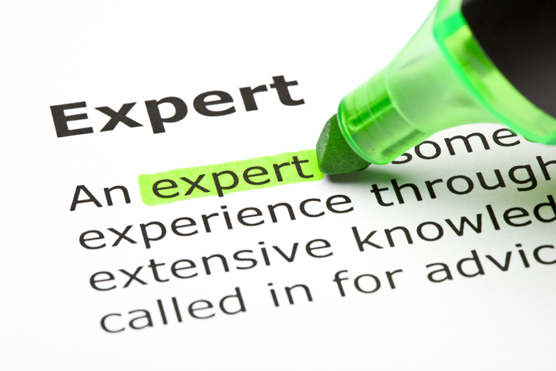expert-definition